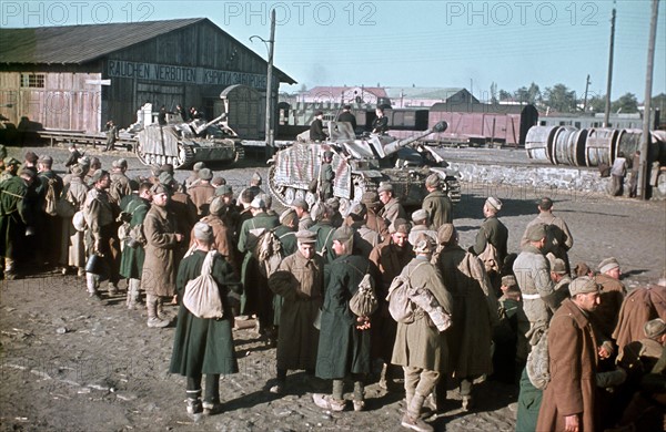 Second World War - Eastern Front - prisoners of war