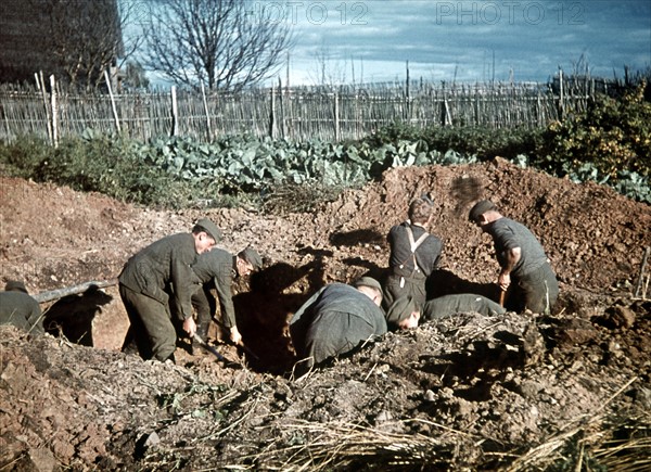 World War II - Eastern front