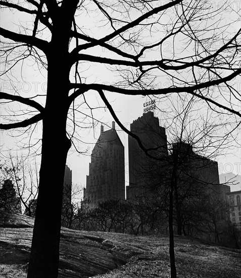 New York in the 1940th
