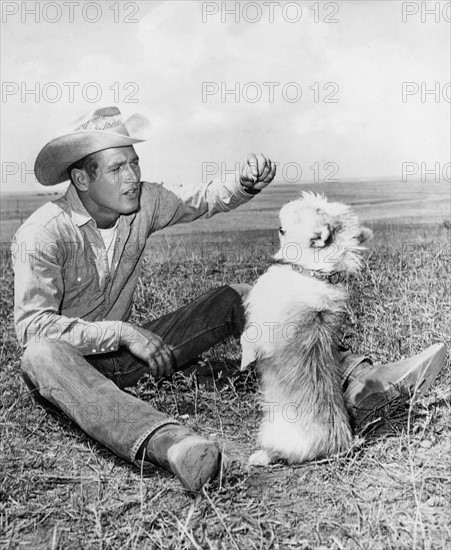 Paul NEWMAN bei Dreharbeiten zu 'Hud' 1962