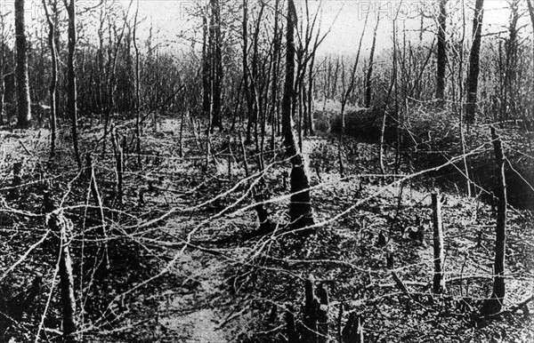 1. Weltkrieg: Schlacht um Verdun