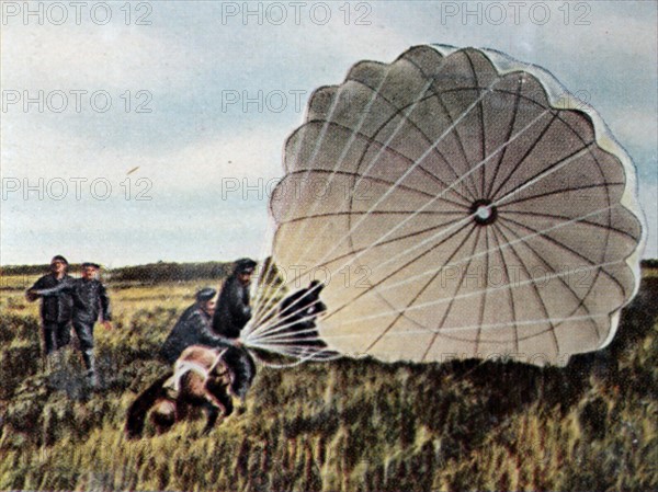 La bataille de la Somme, 1916