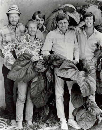 The Beach Boys