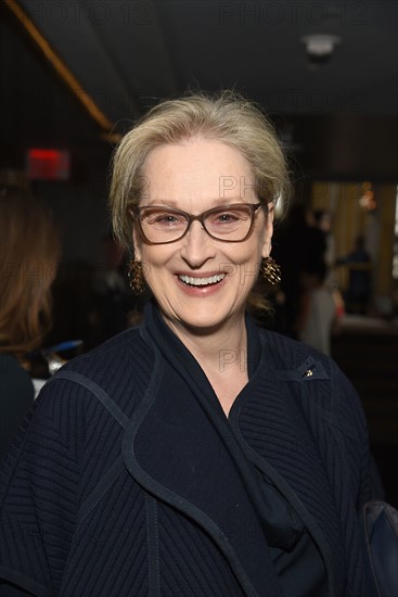 Meryl Streep at the 31st Annual Citymeals on Wheels Power Lunch for Women in New York Cit