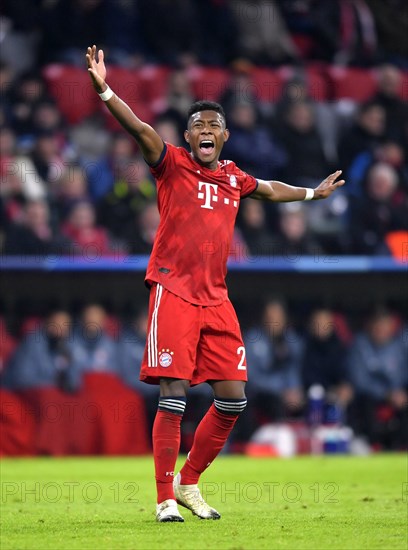 Champions - League - FC Bayern München - Benfica Lissabon