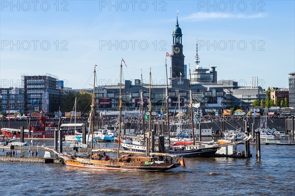 Der Baumwall und der City Sporthafen in Hamburg