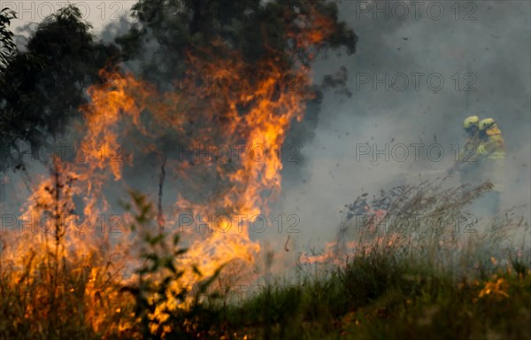 Firefighters battle the flames during bushfires near Taree, New South Wales, Australia, Nov. 11, 2019