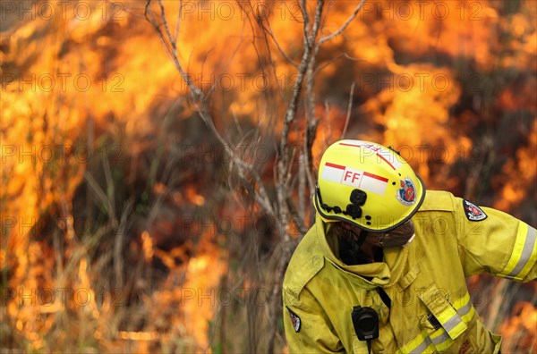 Firefighters battle the flames during bushfires near Taree, New South Wales, Australia, Nov. 11, 2019