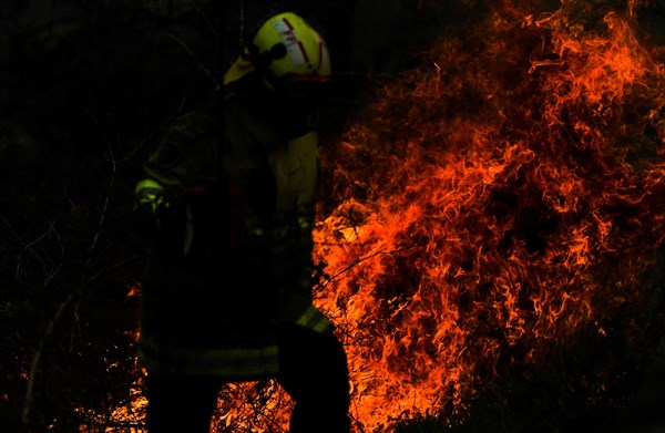 Firefighters battle the flames during bushfires near Taree, New South Wales, Australia, Nov. 11, 2019