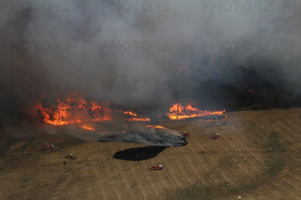 Photo taken on Dec. 20, 2019 shows fire trucks working at Lexton bush fire site in western Victoria, Australia