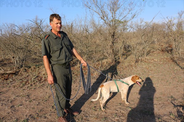 Johan van Straaten, dresseur de chiens, tient un chien en laisse au Southern African Wildlife College à Hoedspruit (Afrique du Sud)