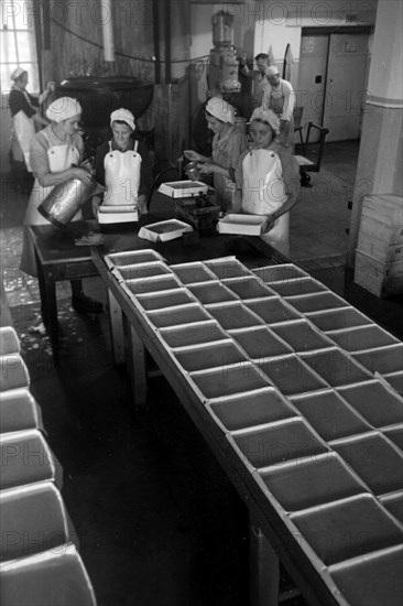 Arbeiterinnen bei der Süßwarenproduktion in der Süßwarenfabrik Oehler in Zeitz, Deutschland 1948. Female workers producing sweets at Oehler factory in Zeitz, Germany 1948. | Verwendung weltweit