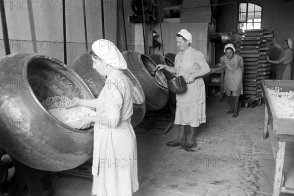 Arbeiterinnen bei der Süßwarenproduktion in der Süßwarenfabrik Oehler in Zeitz, Deutschland 1948. Female workers producing sweets at Oehler factory in Zeitz, Germany 1948. | Verwendung weltweit