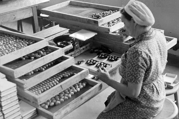 Arbeiterin bei der Süßwarenproduktion in der Süßwarenfabrik Oehler in Zeitz, Deutschland 1948. Worker producing sweets at Oehler factory in Zeitz, Germany 1948. | Verwendung weltweit