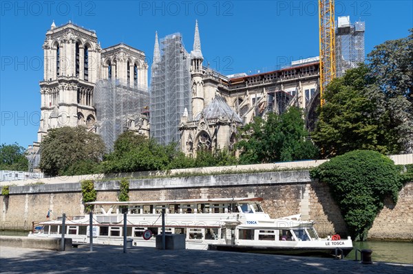 Reconstruction of Notre-Dame Cathedral in Paris