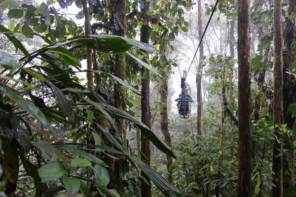 Mashpi lodge - Equateur