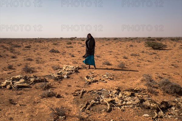 Saida Mousseh Mohammed Hassan, Somalia