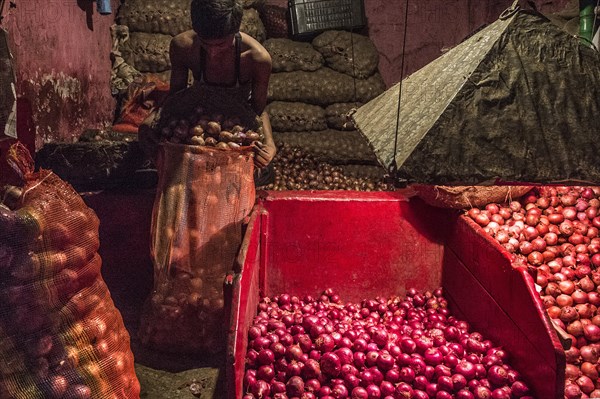 KOLKATA, Sept. 26, 2019 () -- A laborer works at an onion wholesale market in Kolkata, India, Sept. 25, 2019. Price of onions have increased to nearly threefold over the past couple of weeks in India, allegedly due to heavy damages rendered to ready-for-harvest crop in south-western state of Maharashtra, and other nearby areas, by incessant rains this year. Sold at a price tag of around 20 Indian Rupees a kilogram in Delhi, and other parts in north India, the commodity is now available at nearly 60 Indian Rupees a kilogram.