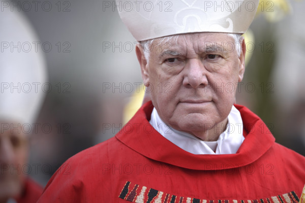 Cardinal Gerhard Ludwig Muller.Pope Francis celebrates the Palm Sunday mass in St Peter's square on April 2, 2023 at the Vatican.