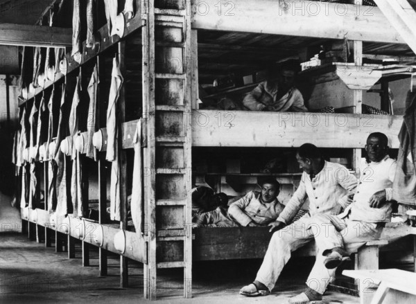 Häftlinge auf ihren Pritschen in einer Baracke des KZ Dachau. Um den zahlreichen Berichten in der ausländischen Presse über die Konzentrationslager entgegenzutreten, fand 1933 eine Pressebesichtigung in Dachau statt, um den geladenen Journalisten ein "sauberes" Konzentrationslager vorzuführen. Dieses Bild ist bei diesem Anlaß entstanden und zeigt eine geschönte Wirklichkeit. (Aufnahmedatum: 01.01.1933-31.12.1933)