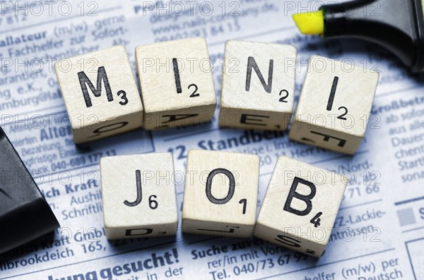 Mini job