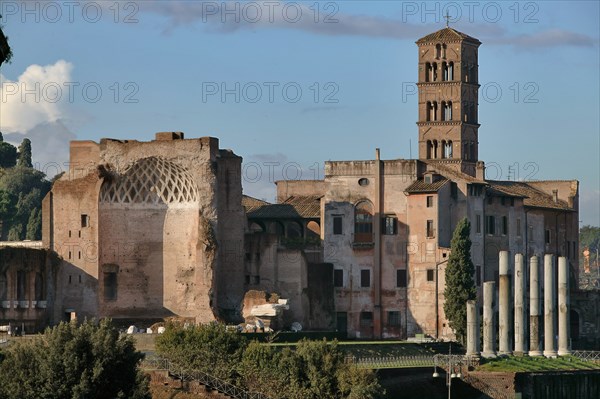 Le Forum Romain, Rome, Italie