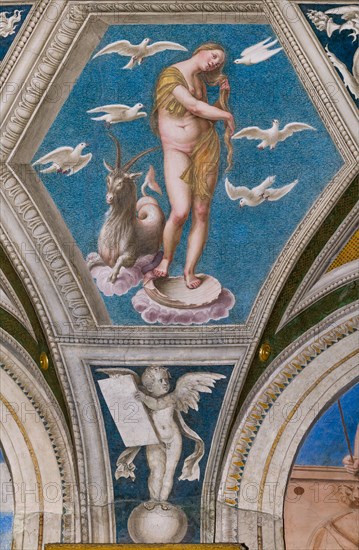 Rome, Villa Farnesina, salle de Galatée