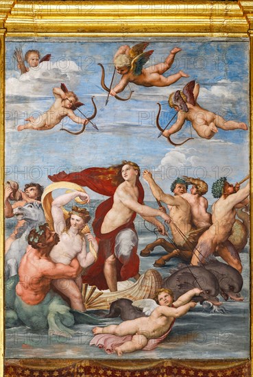 Rome, Villa Farnesina, salle de Galatée