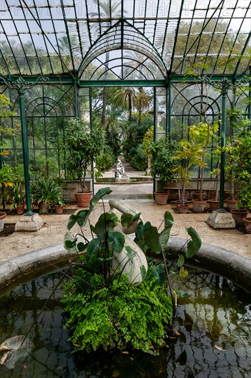 Jardin botanique de Palerme