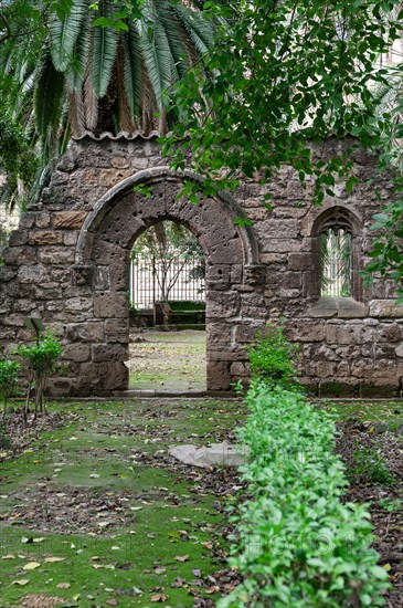 Palermo, the Botanical Gardens