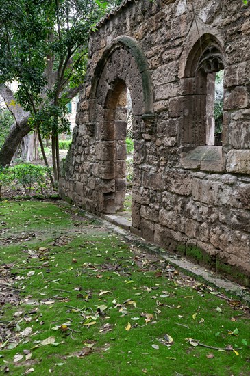 Jardin botanique de Palerme