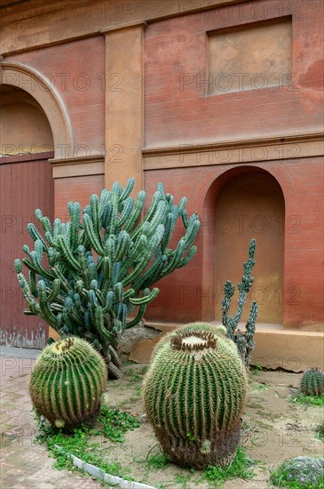 Palermo, the Botanical Gardens
