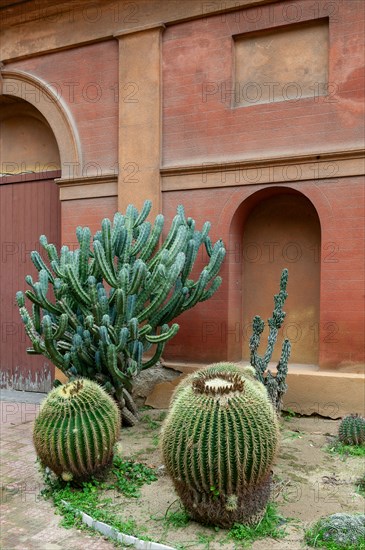 Jardin botanique de Palerme