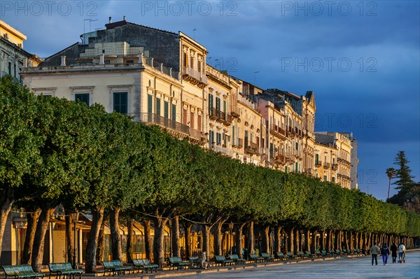 Syracuse, Island of Ortigia