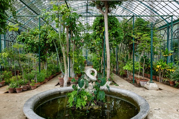 Jardin botanique de Palerme