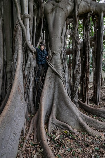 Palermo, the Botanical Gardens