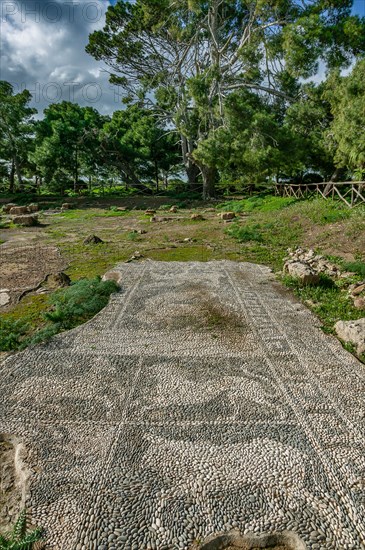 Island of San Pantaleo, Motya