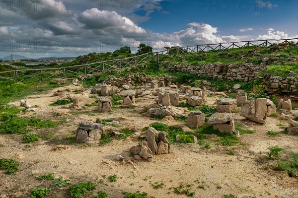 Island of San Pantaleo, Motya, Whitaker Museum