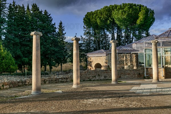 Piazza Armerina, Roman Villa of Casale