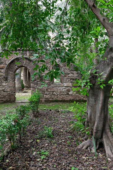 Jardin botanique de Palerme