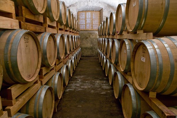 Winery Scacciadiavoli in Montefalco, Italy