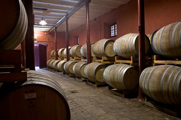 Winery Scacciadiavoli in Montefalco, Italy