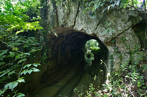 The Roman bridge on the Flaminia road in Cavallara locality