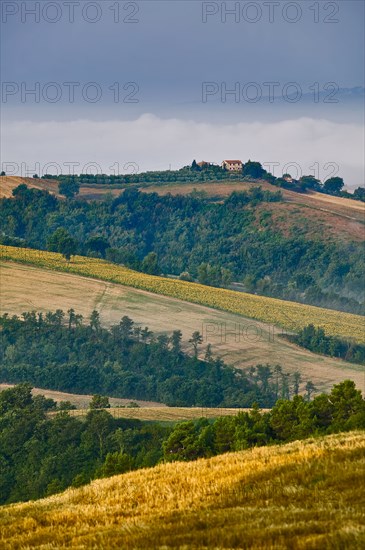 Hills near Saragano, Umbria, Italie