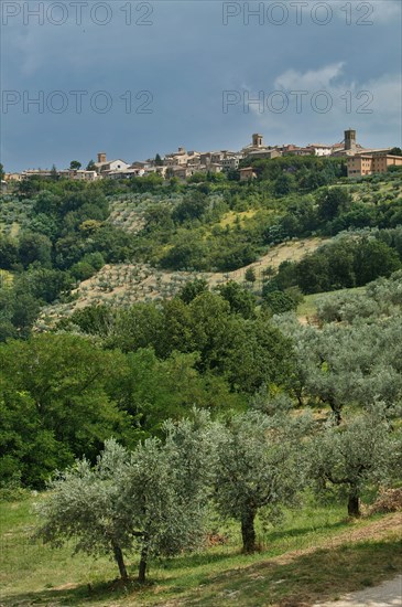 View of Montefalco, Umbria, Italie