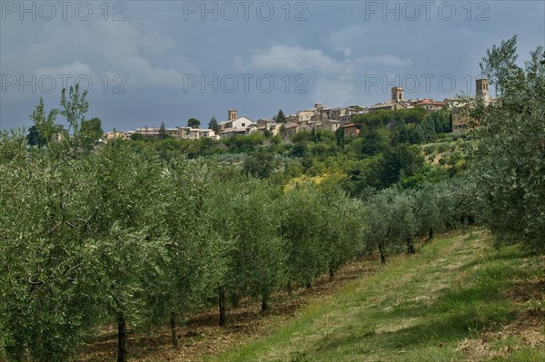 View of Montefalco, Umbria, Italie