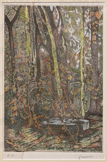 Remo Zanerini, "In the Wood"