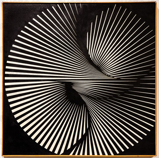 Museo Novecento: "Radial Twisting", by Franco Grignani, 1965