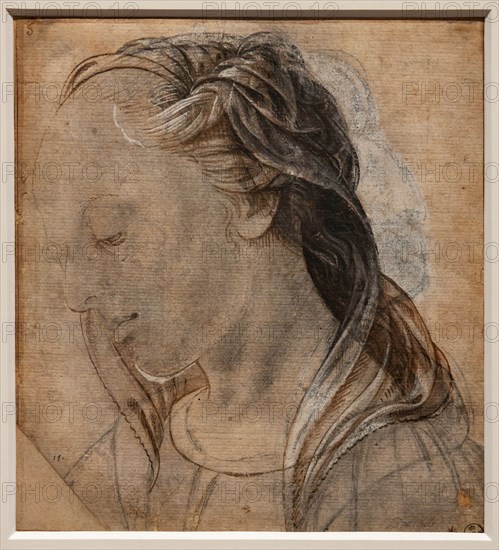 "Female Head", by Biagio d'Antonio Tucci