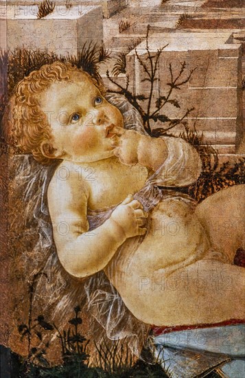 "Madonna adoring the Child", by  Domenico del Ghirlandaio